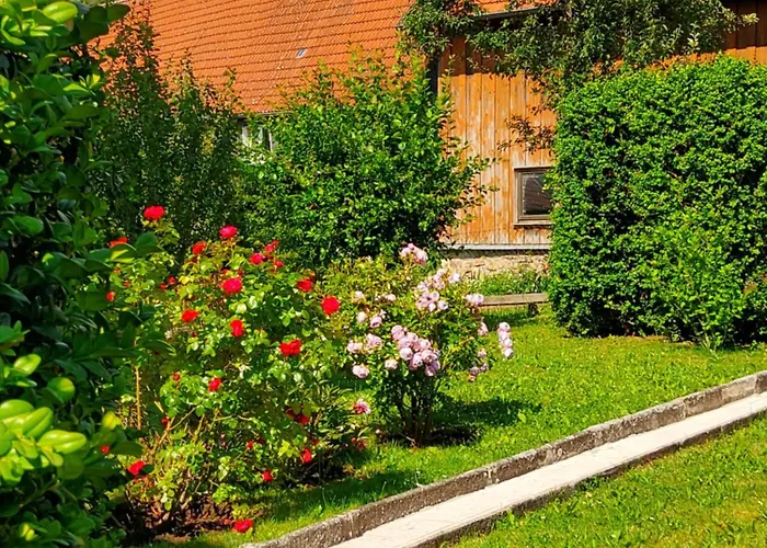 Nonnenbergblick Daire Cabarz